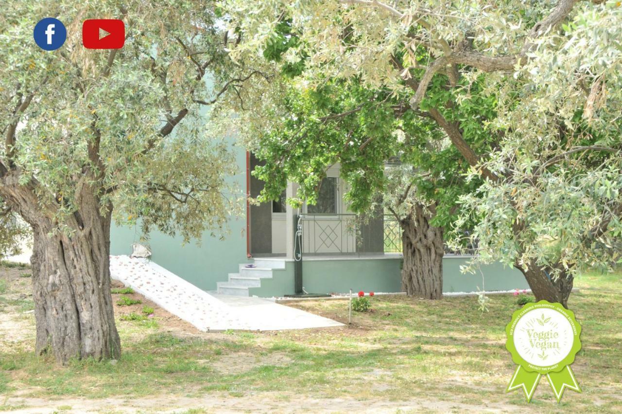 Villa Elaeda Evdokia Prínos Esterno foto